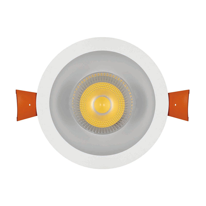 Seity Array image33