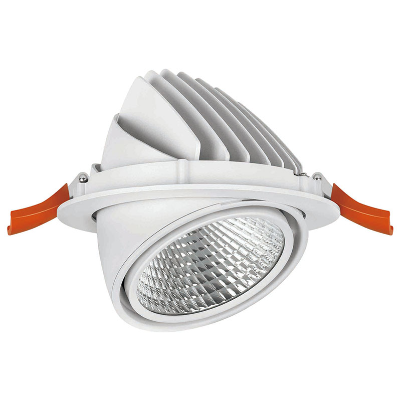 LED downlight fittings with flexible head led round downlight 502021-3 MAX 50W